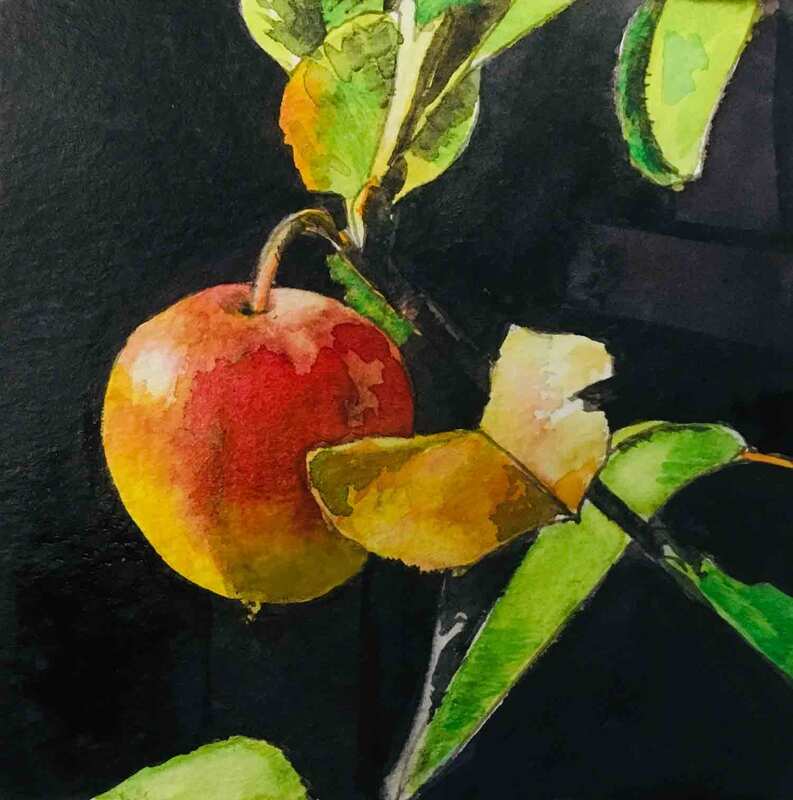 Apple and leaves, watercolour
