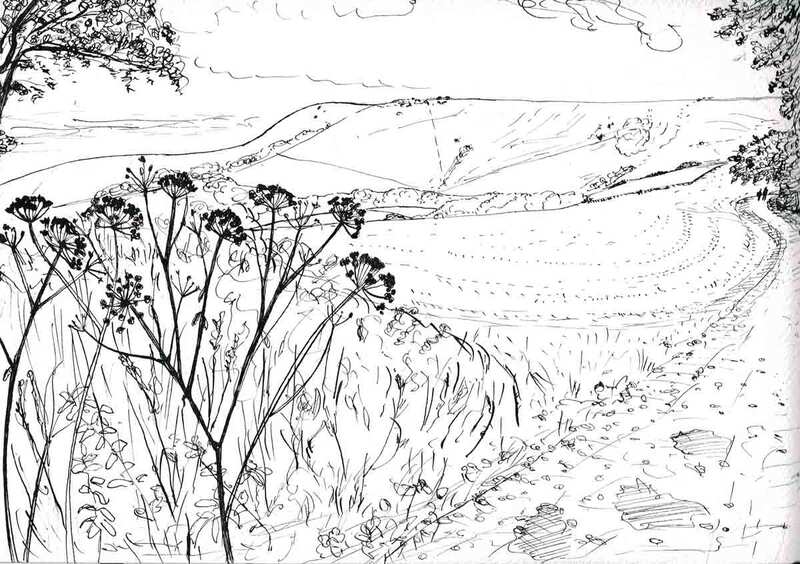 Firle Beacon and seedheads. Ink