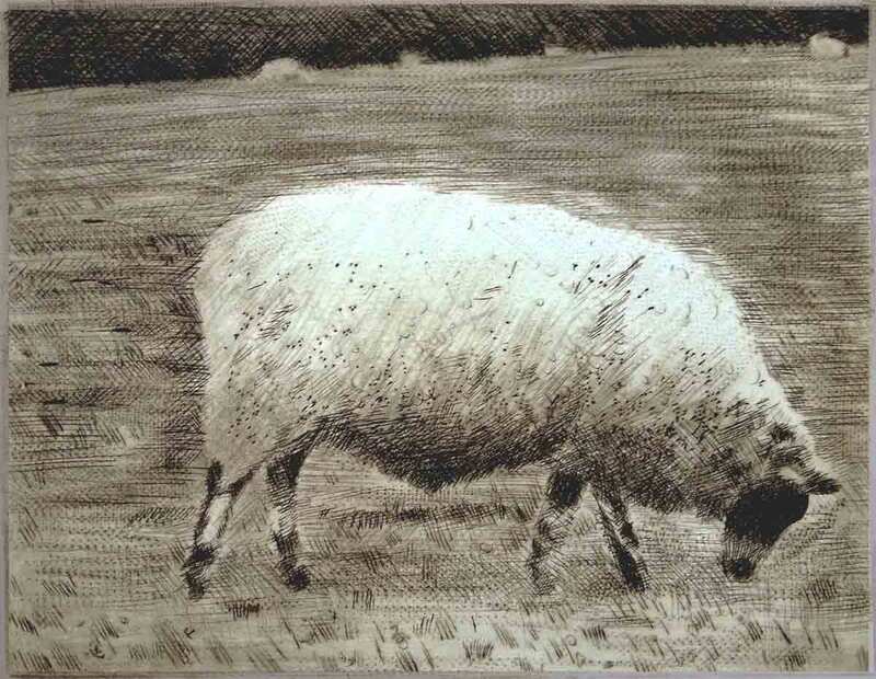 Sheep on Bible Bottom, Lewes. Drypoin