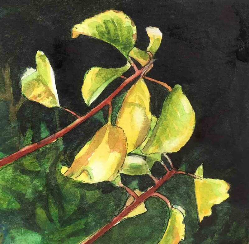 Backlit leaves, watercolour
